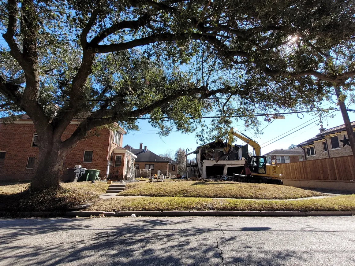 A large tree is in the middle of an empty lot.